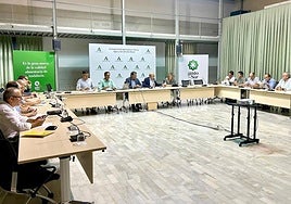 Junta y sector constituyen un grupo de trabajo para impulsar la interprofesional andaluza de los cítricos
