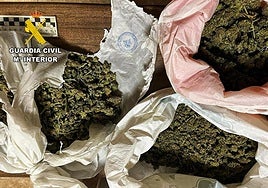 Los cogollos de marihuana incautados