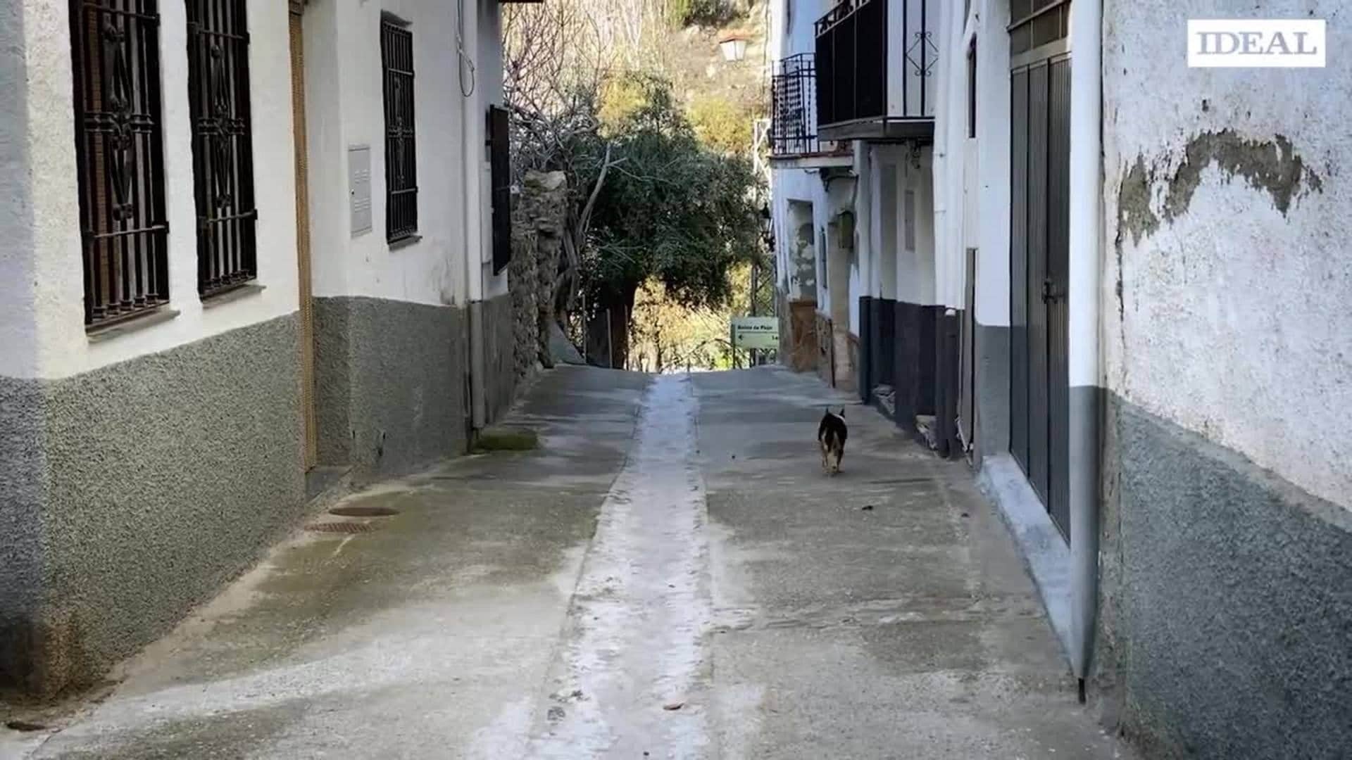 Imagen de una calle de Cástaras.