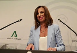 La consejera de Vivienda, Rocío Díaz, durante su intervención tras el Consejo de Gobierno.