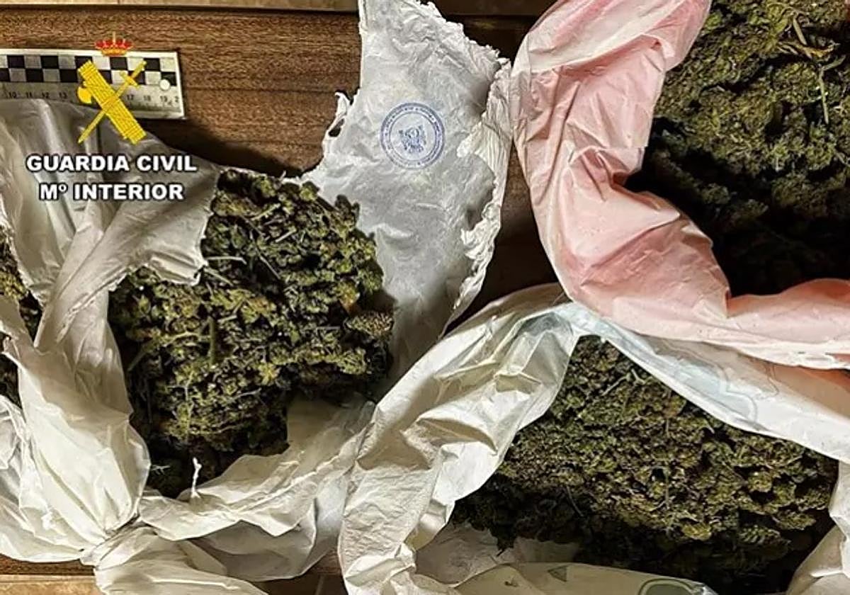 La marihuana incautada.