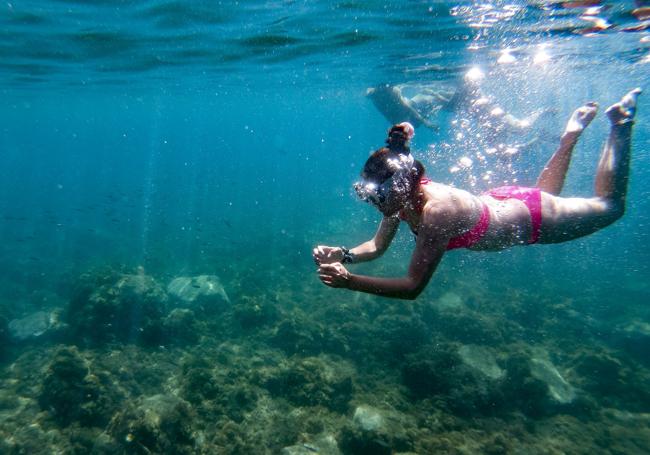 Buceo en La Herradura