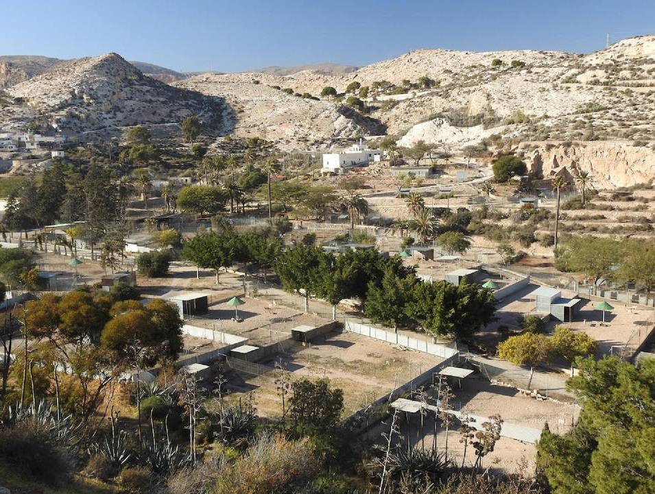 La EEZA asegura que indicó al Ayuntamiento de Almería cómo debía pedir las necropsias al CSIC