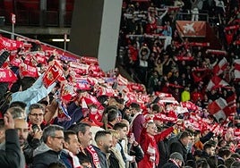 Aficionados de la UD Almería ondeando las bufandas