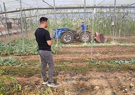 El Ifapa imparte en La Mojonera una jornada de biosolarización para la mejora de suelos en cultivos hortícolas