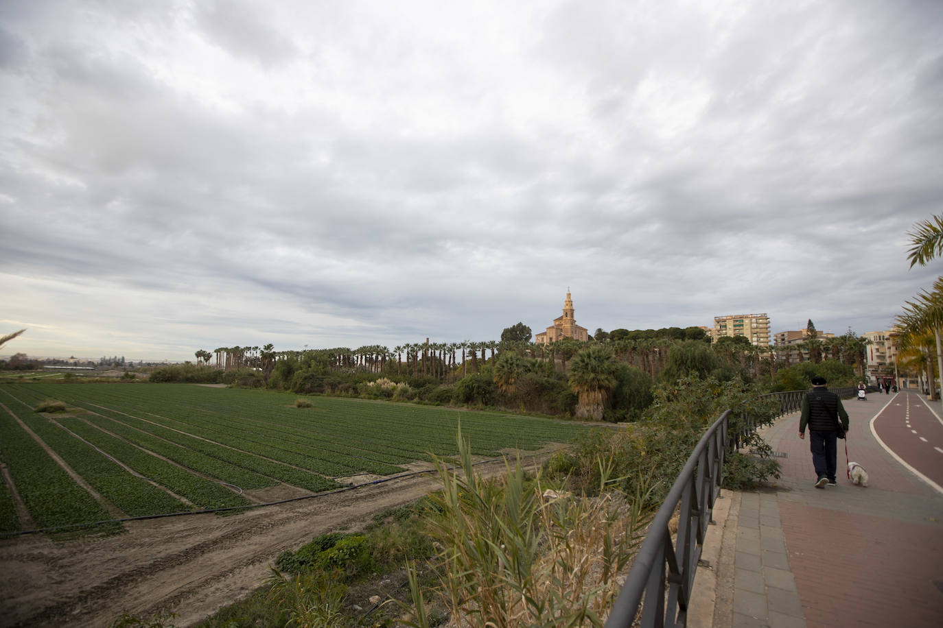 Nuevo sector en desarrollo en la ciudad de Motril.