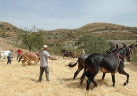 Caballos en una era de Turón.