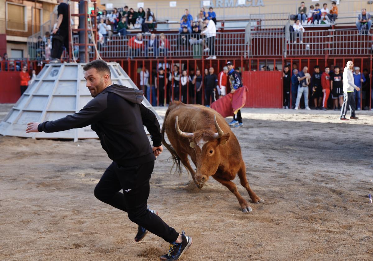 Espectáculo festivo taurino.