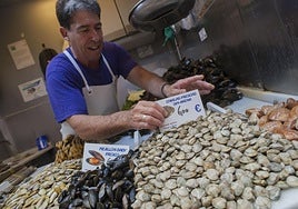 Bruselas aprueba el Plan de Gestión andaluz para la pesca artesanal de la draga en el litoral mediterráneo