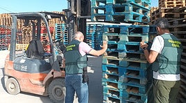 Los palés inmovilizados.