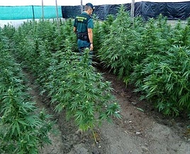 Diez detenidos tras descubrirse un centro de almacenaje y distribución de marihuana en Cijuela que operaba en Almería y Roquetas de Mar