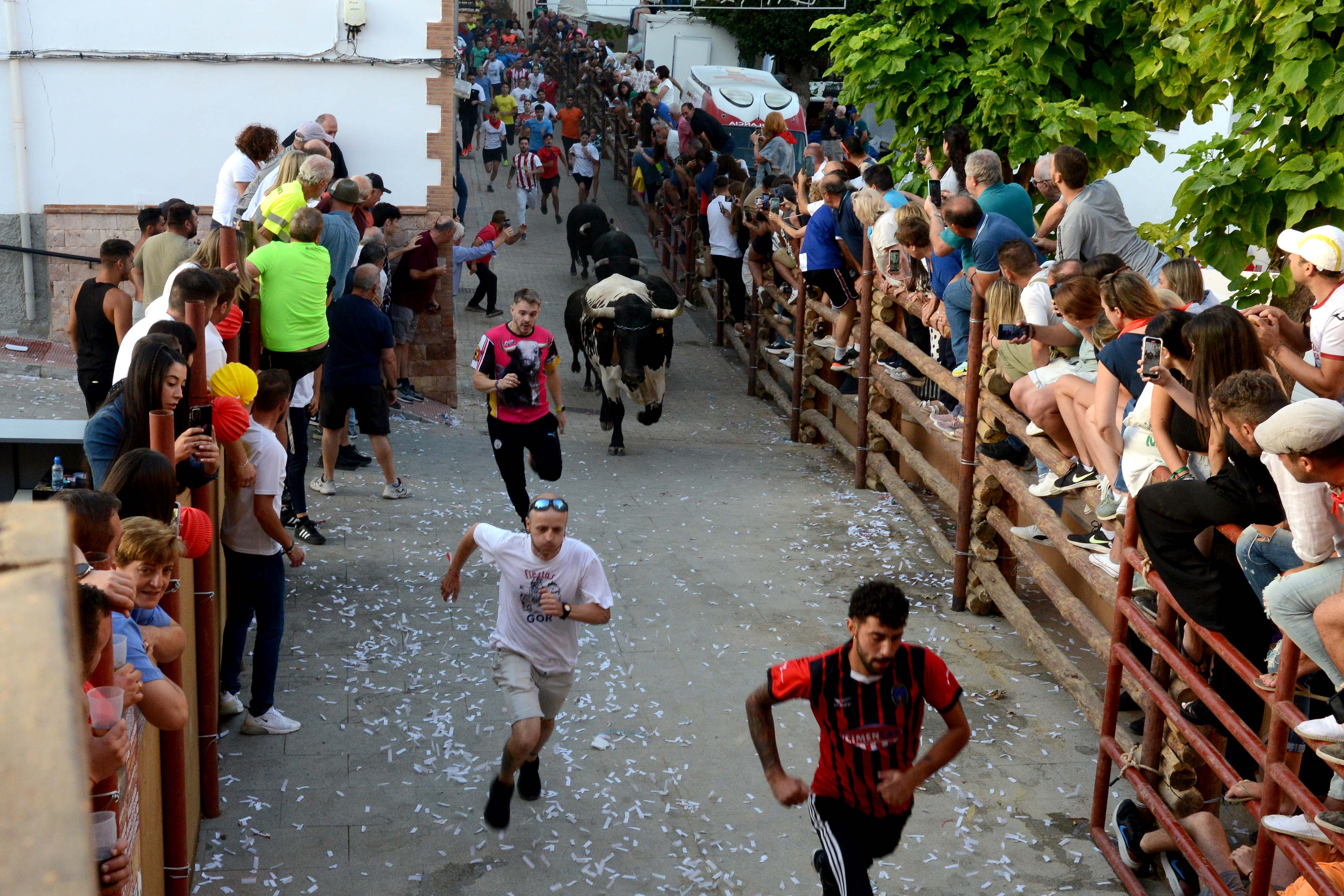 Las imágenes de los encierros más famosos de Granada