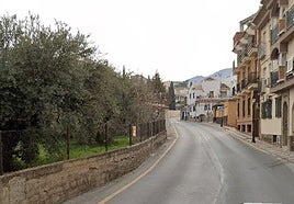 El fuego se ha declarado en la Avenida del Sol.