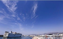 El Gobierno autoriza la entrada de mascotas al Puerto de Motril