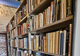 Vista parcial de la biblioteca de Vicente Salvatierra.