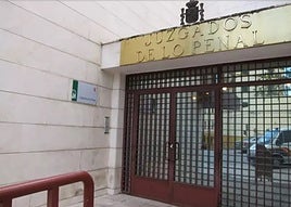 Un año de cárcel por maltratar a sus tres galgas, a las que tenía en «total abandono»en Jaén