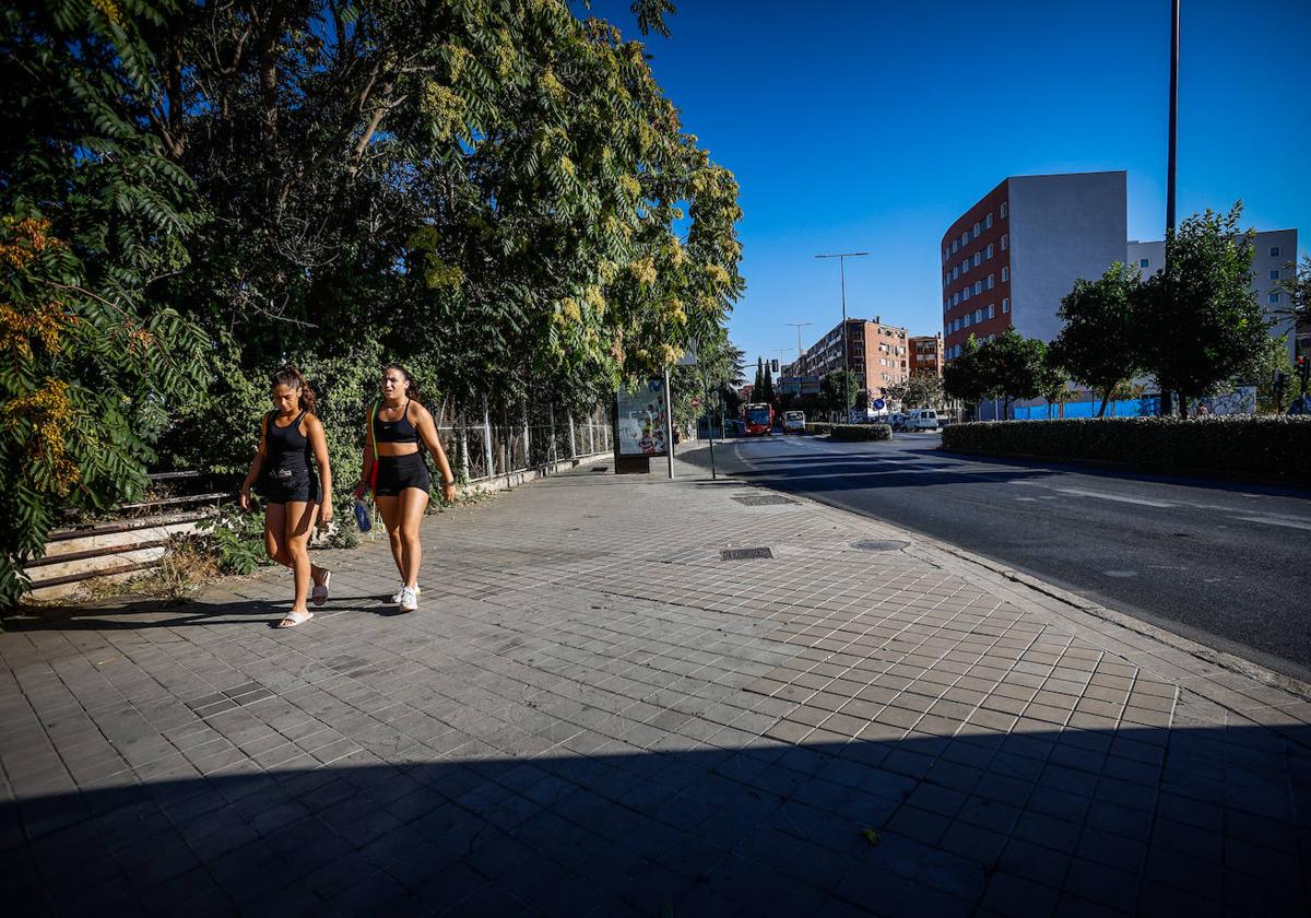 Zona de Camino de Ronda para la que se pide una reforma integral.