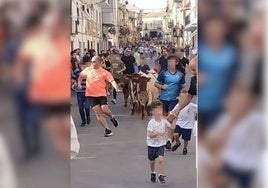 Fotografía tomada durante la bueyada infantil en Castellar.