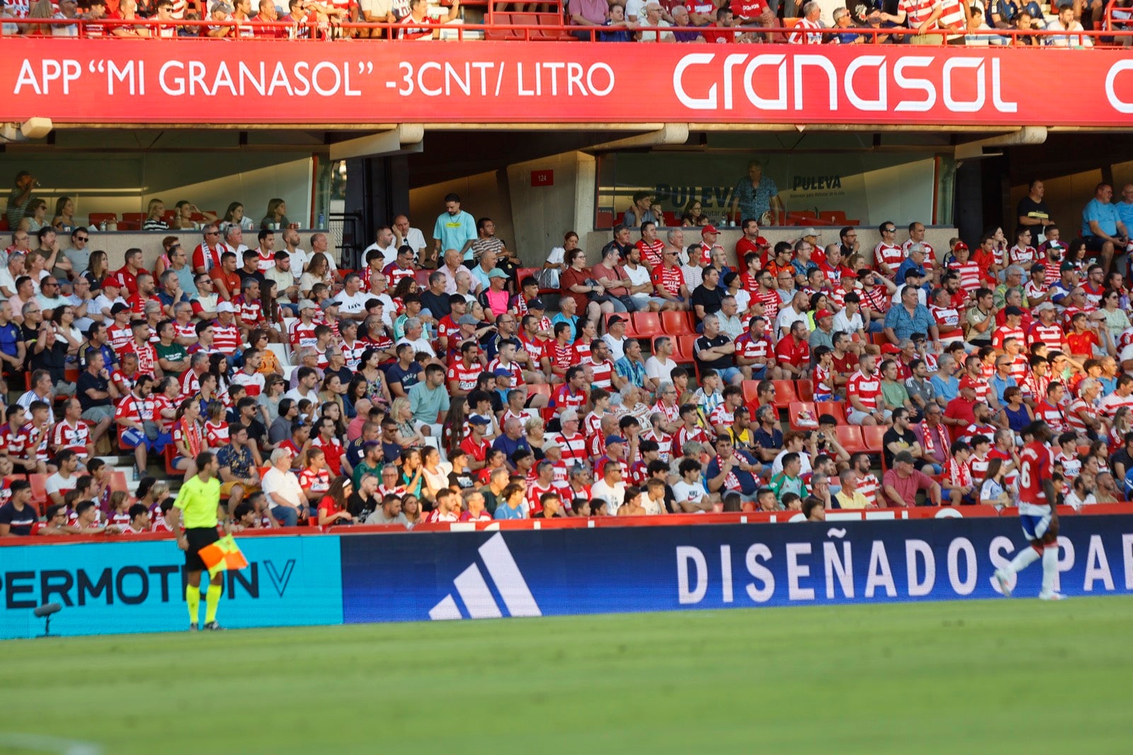 Encuéntrate en la grada durante el Granada-Albacete
