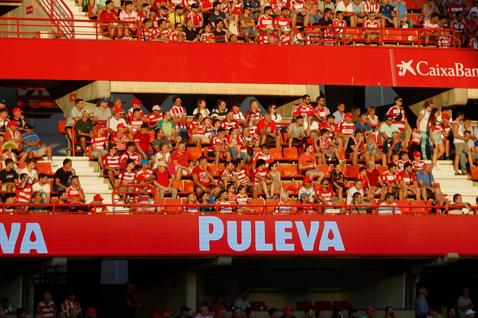 Encuéntrate en la grada durante el Granada-Albacete