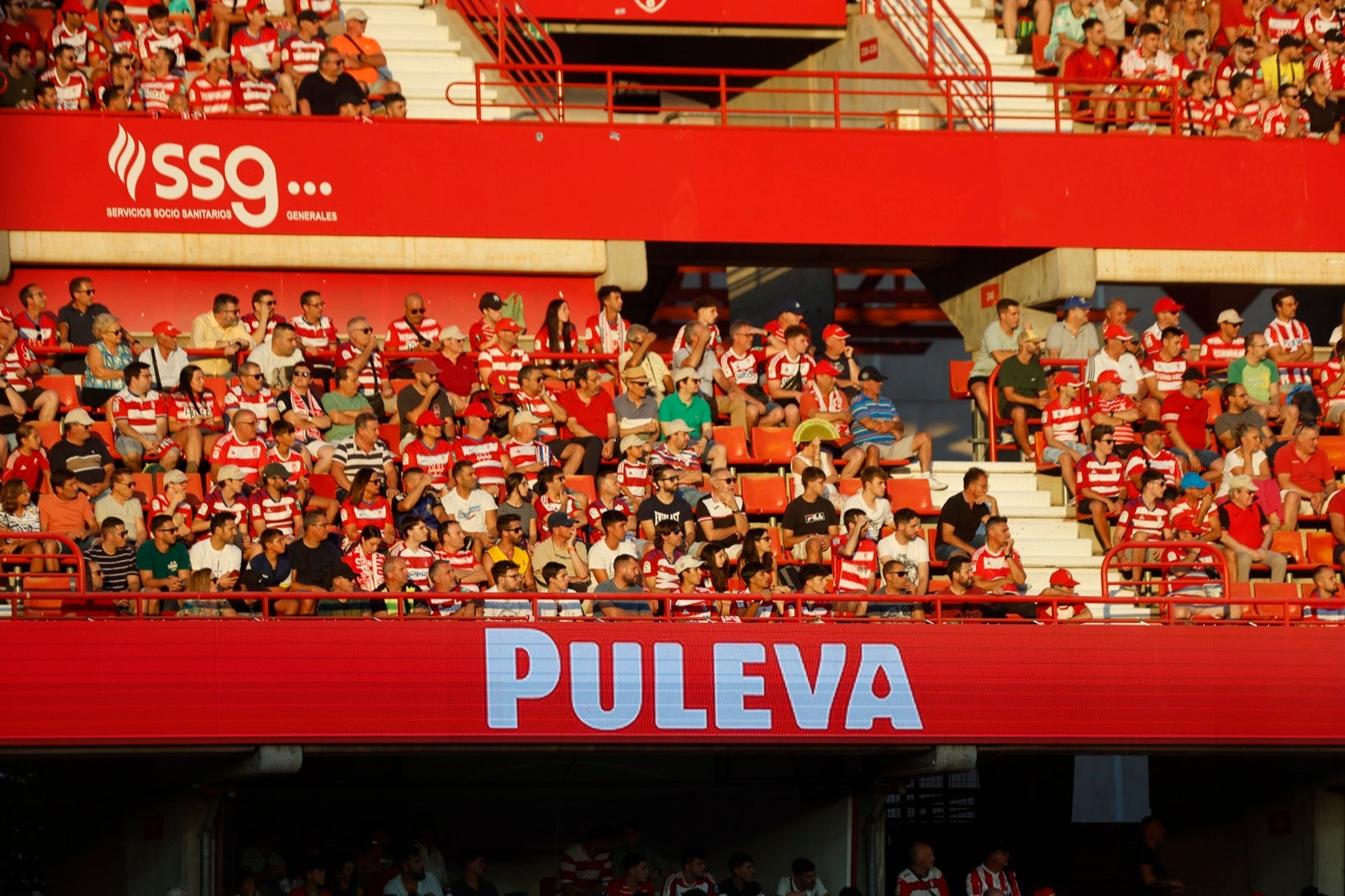 Encuéntrate en la grada durante el Granada-Albacete