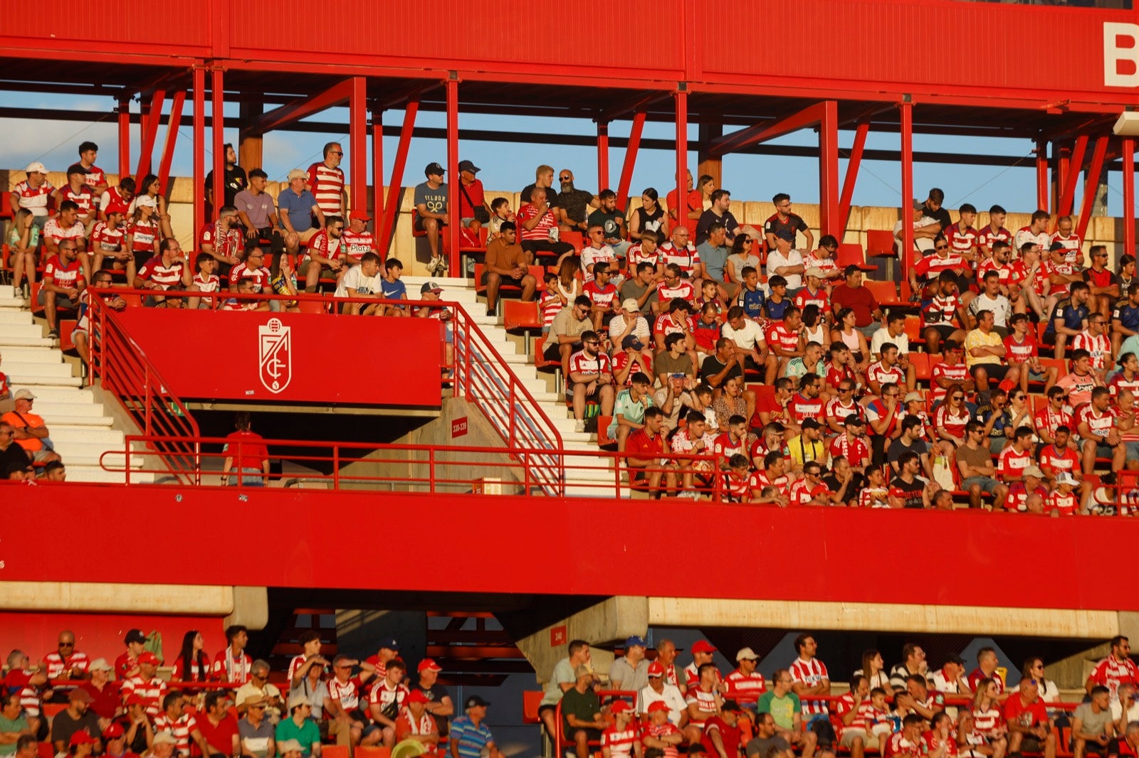 Encuéntrate en la grada durante el Granada-Albacete