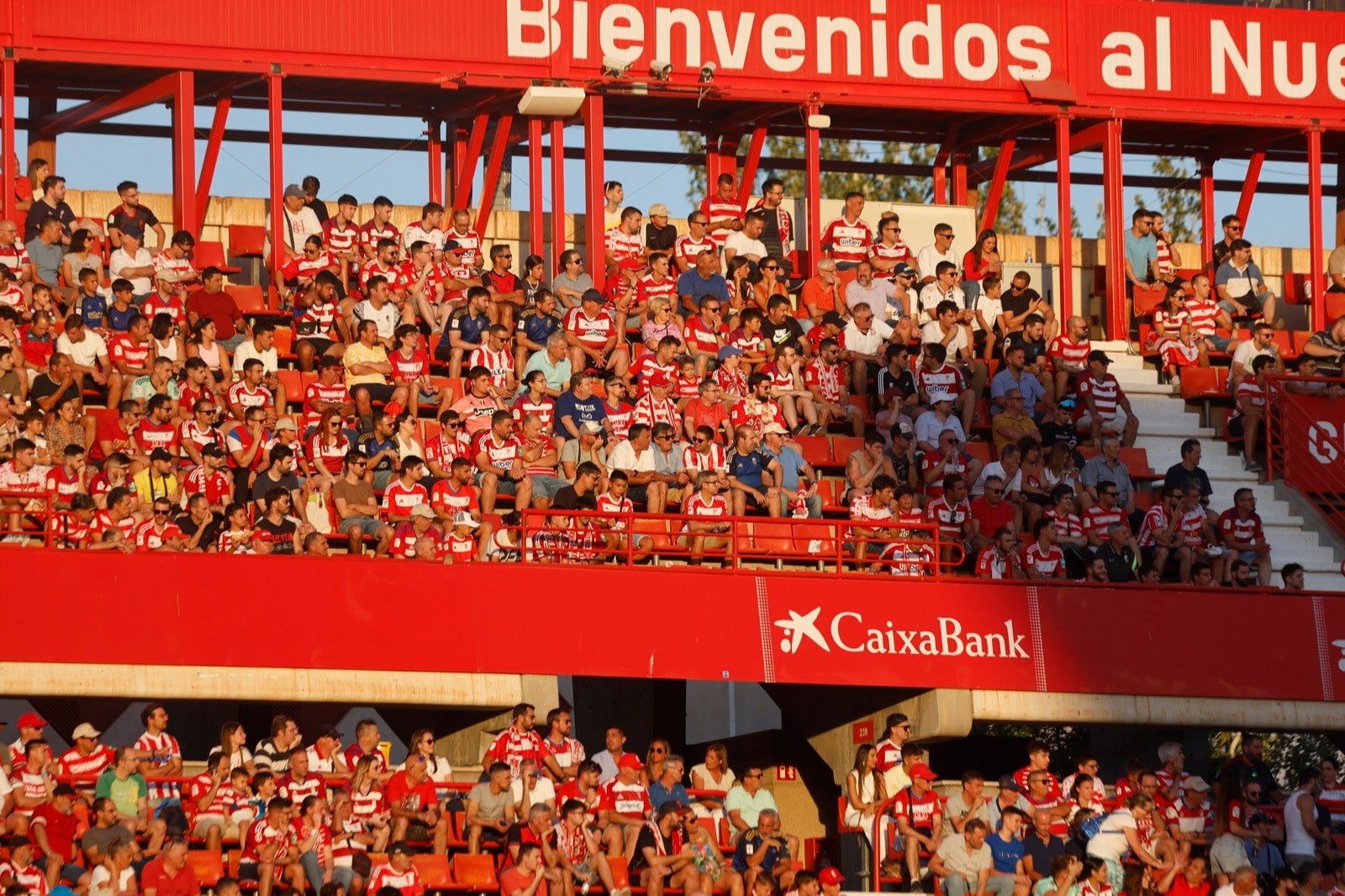 Encuéntrate en la grada durante el Granada-Albacete