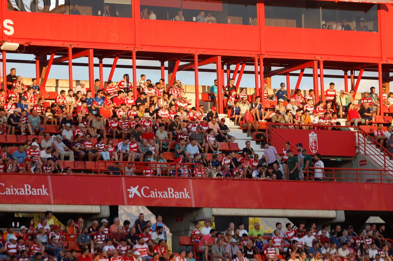 Encuéntrate en la grada durante el Granada-Albacete