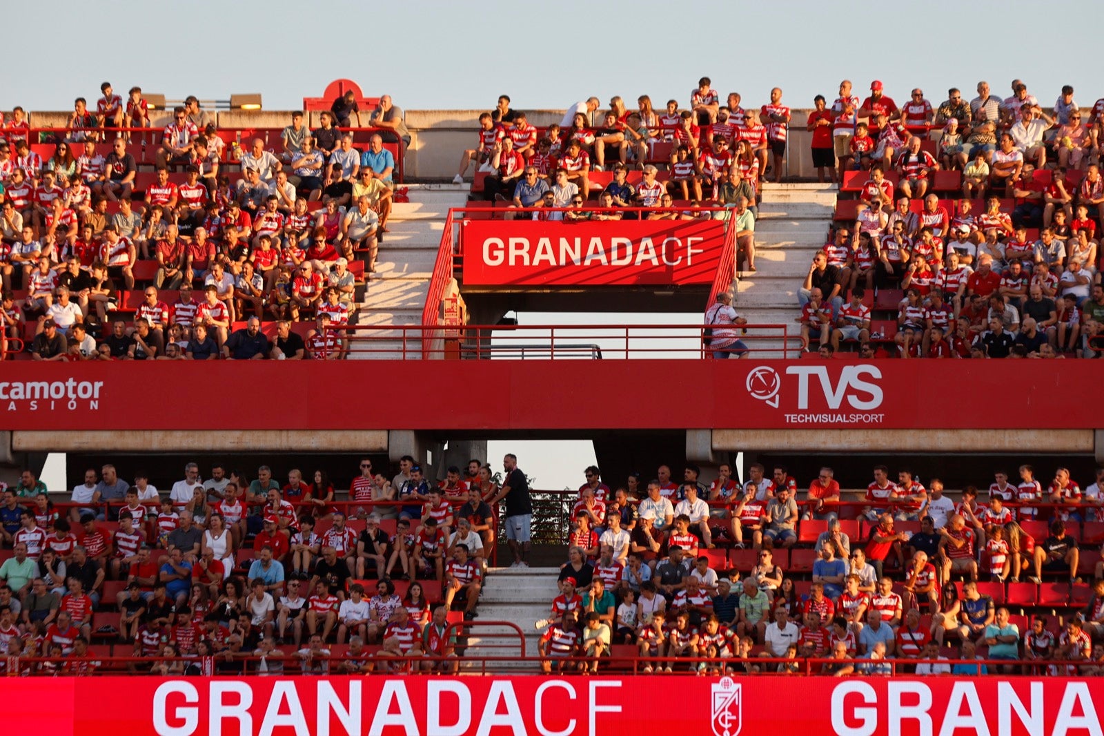 Encuéntrate en la grada durante el Granada-Albacete
