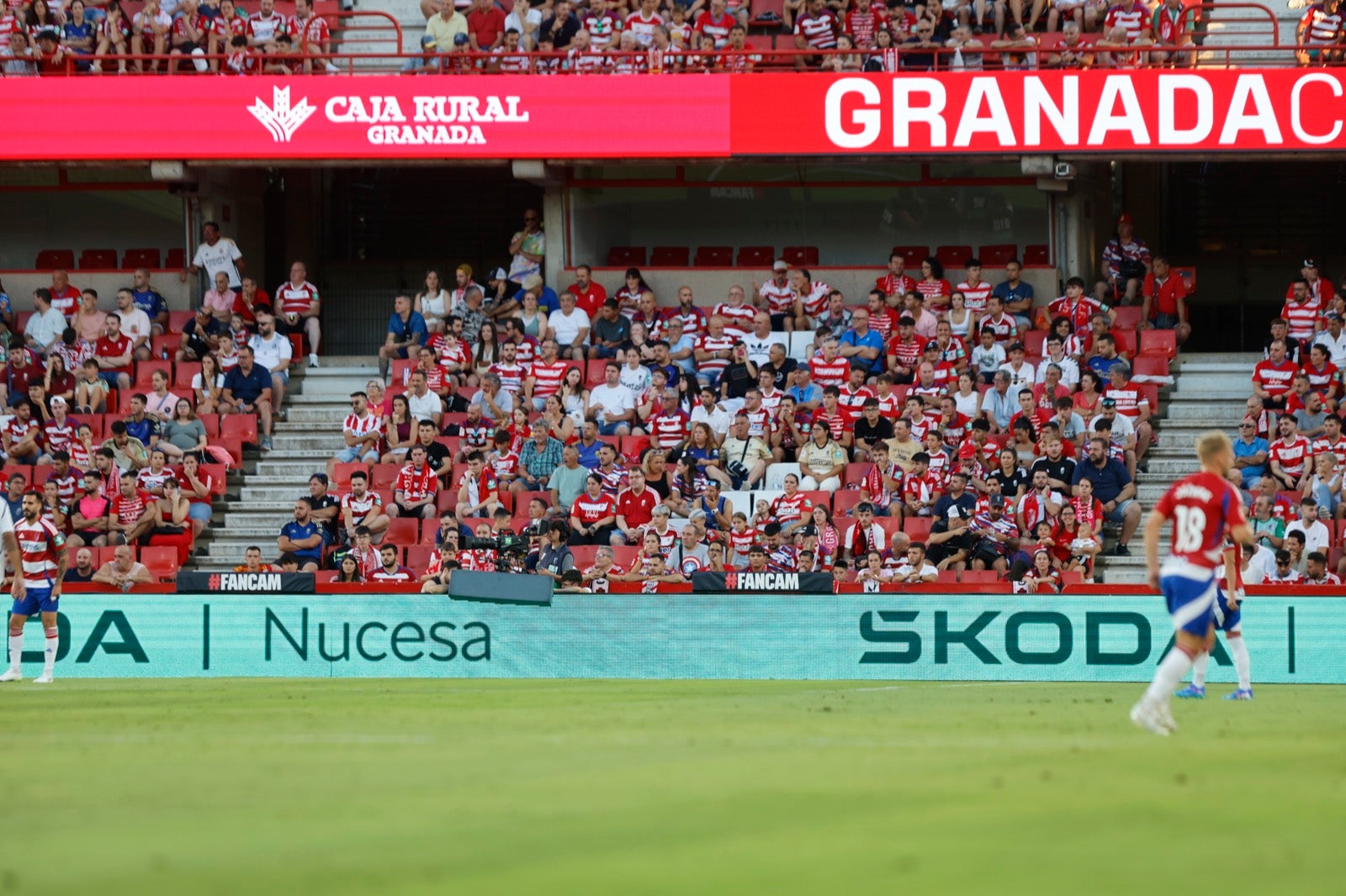 Encuéntrate en la grada durante el Granada-Albacete