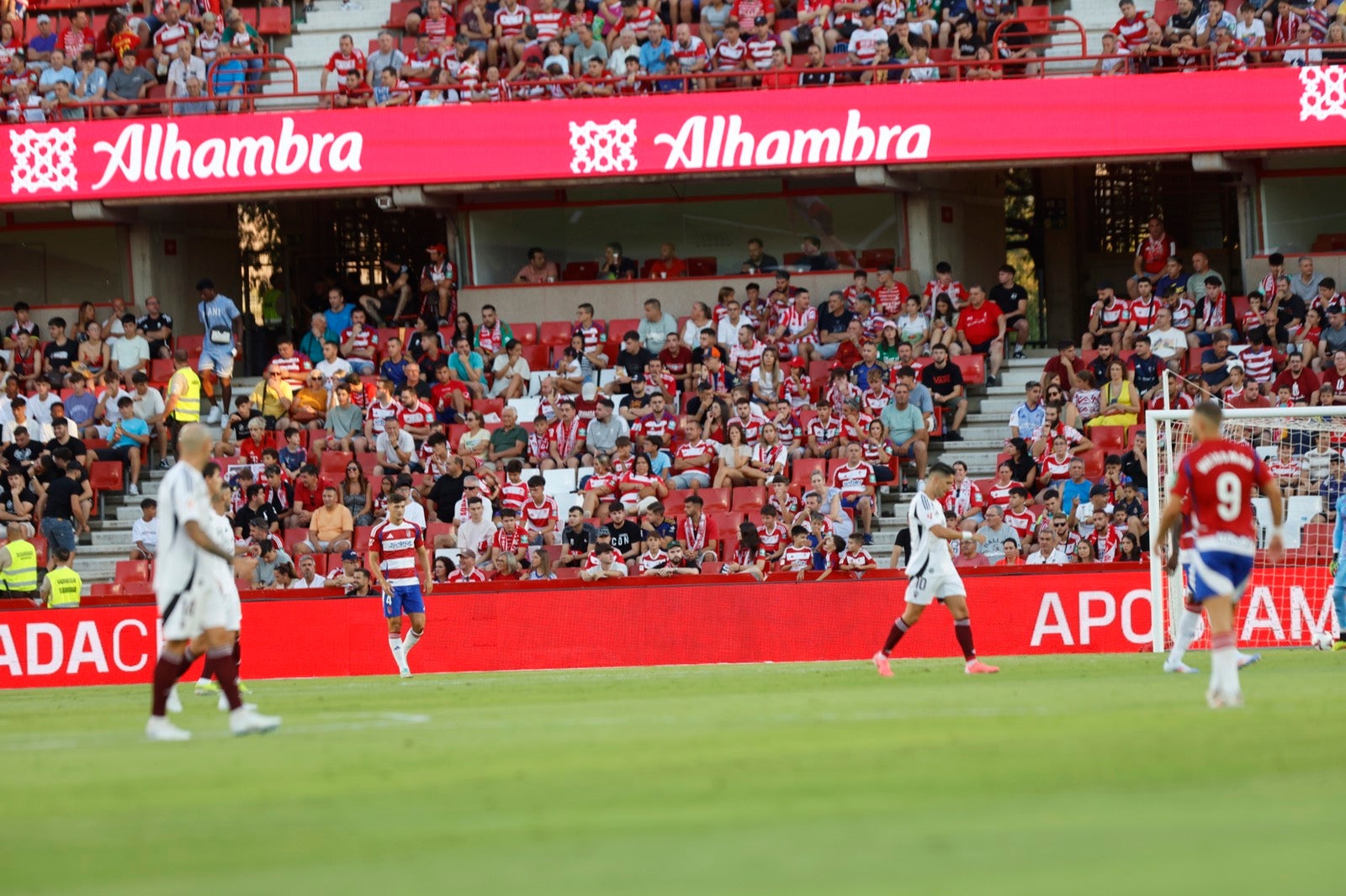 Encuéntrate en la grada durante el Granada-Albacete