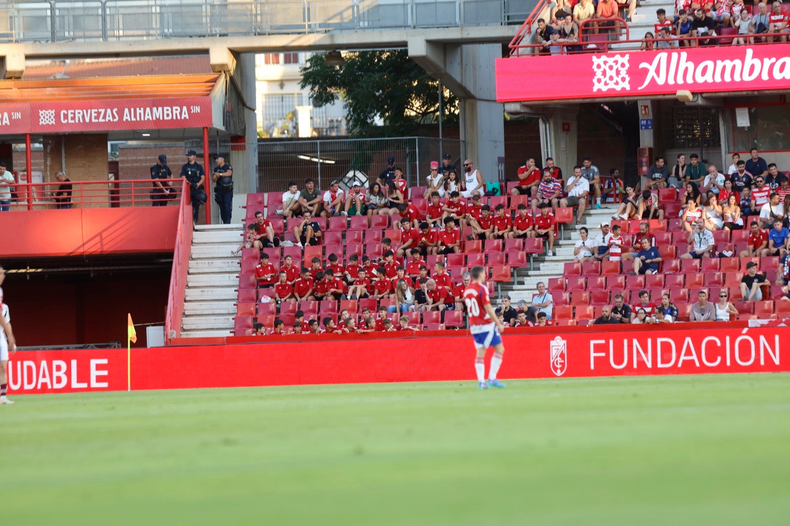 Encuéntrate en la grada durante el Granada-Albacete
