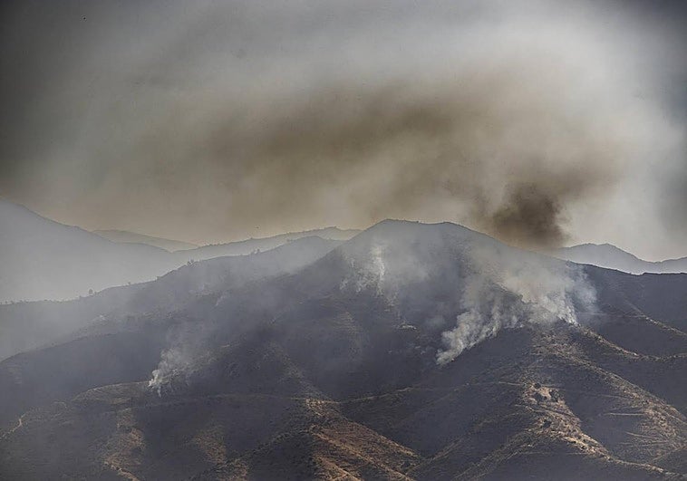 Zona afectada por el incendio en Almuñécar.
