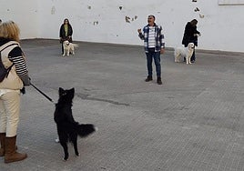 Imagen del curso de adiestramiento de perros del pasado año