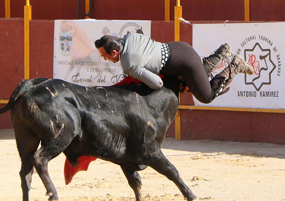 Cogida a Curro Ortiz en la plaza de Güéjar Sierra