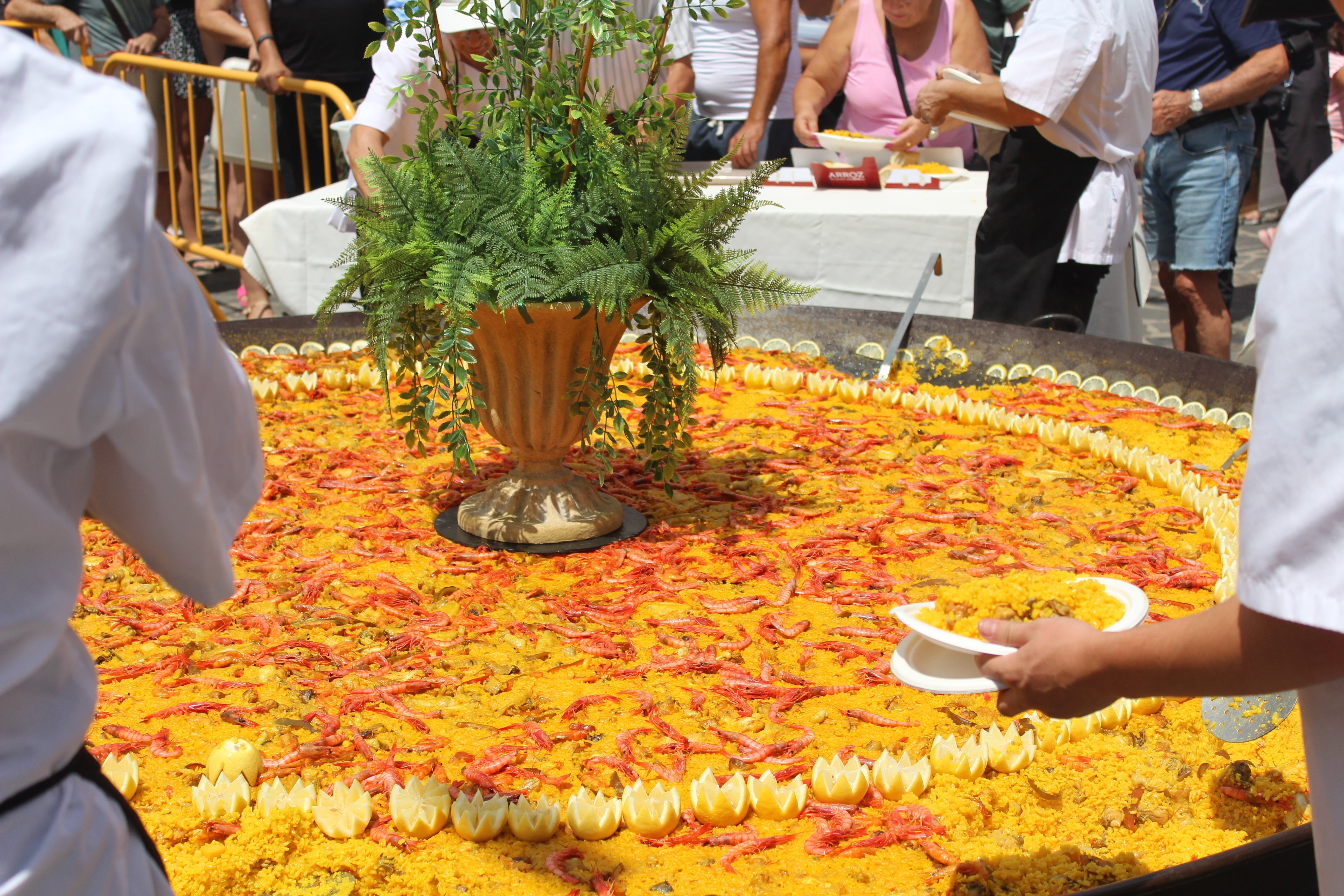 Una gran paella para las Fiestas Patronales de Velefique