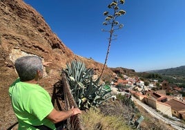 Zona afectada en Beas de Guadix.