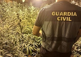Imagen de archivo de una intervención de marihuana en Granada.