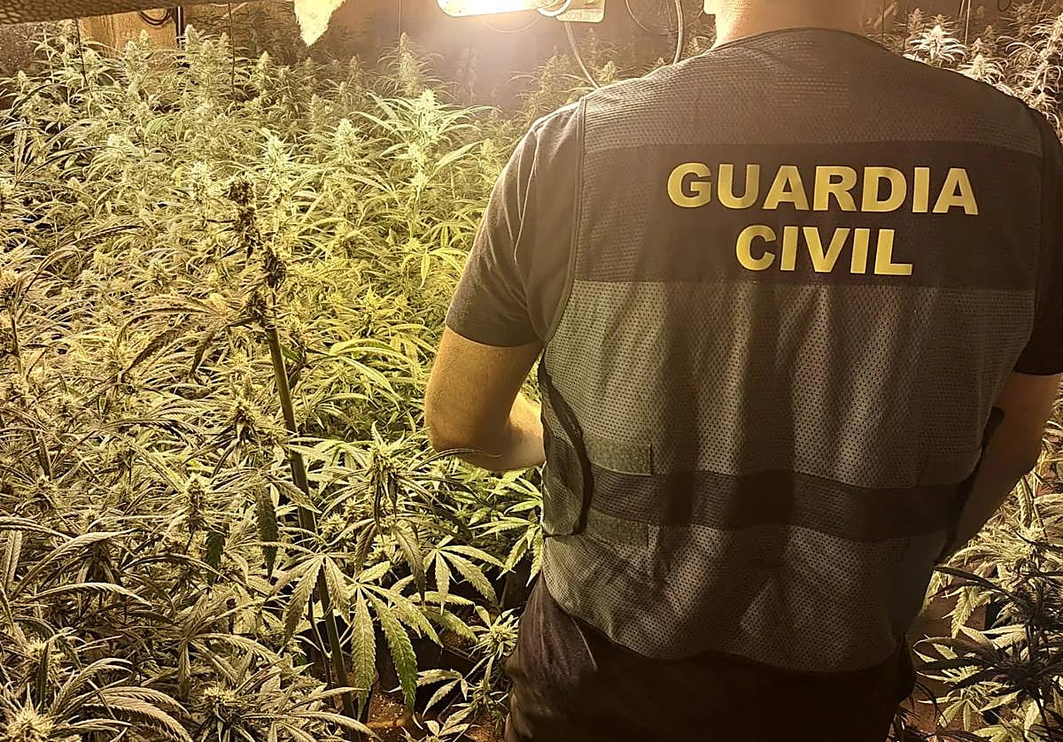 Imagen de archivo de una intervención de marihuana en Granada.