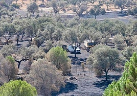 El incendio ha requerido de nueve días de intenso trabajo para su extinción.