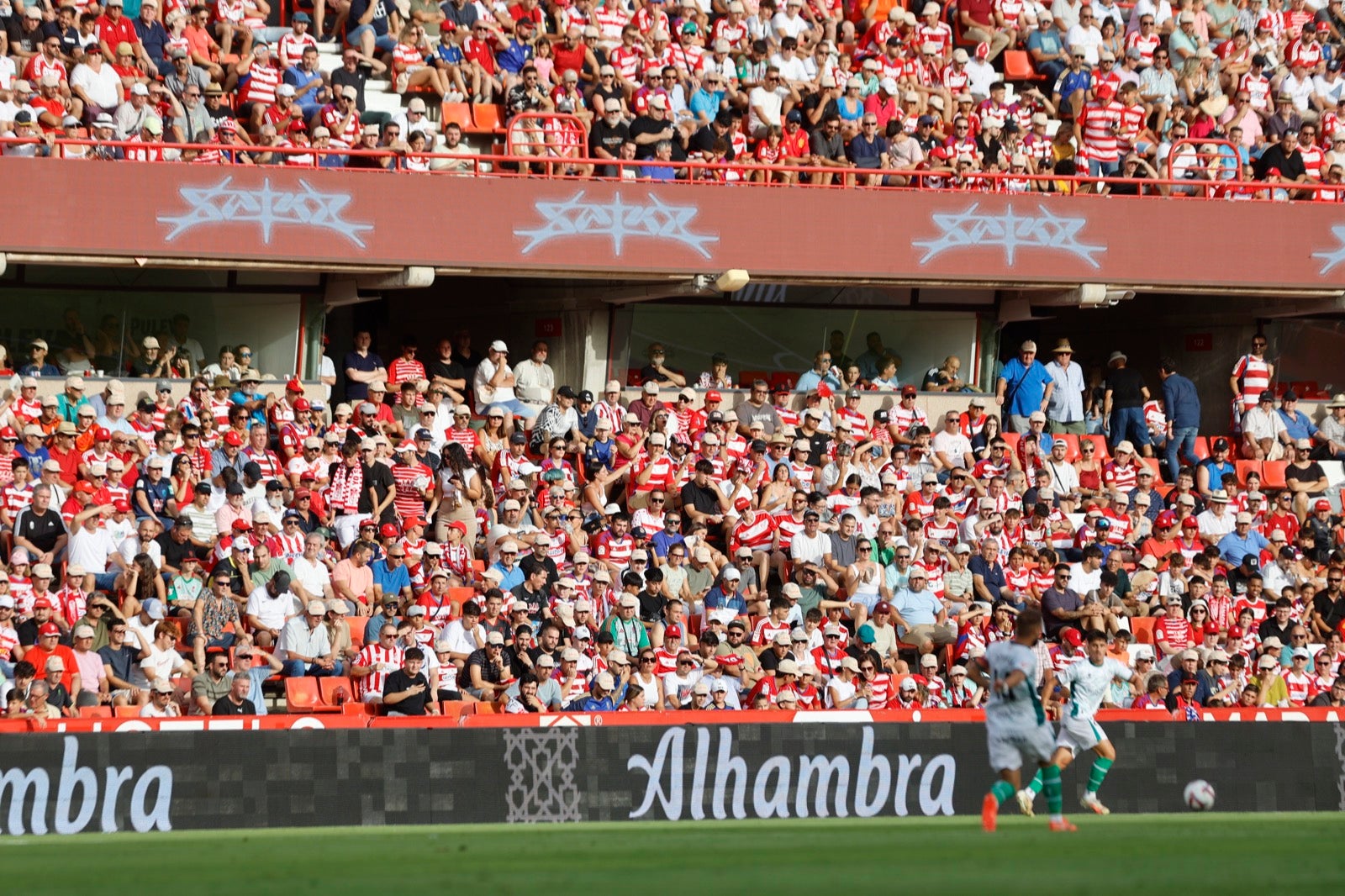 ¿Has ido a animar al Granada a Los Cármenes? Búscate en la grada