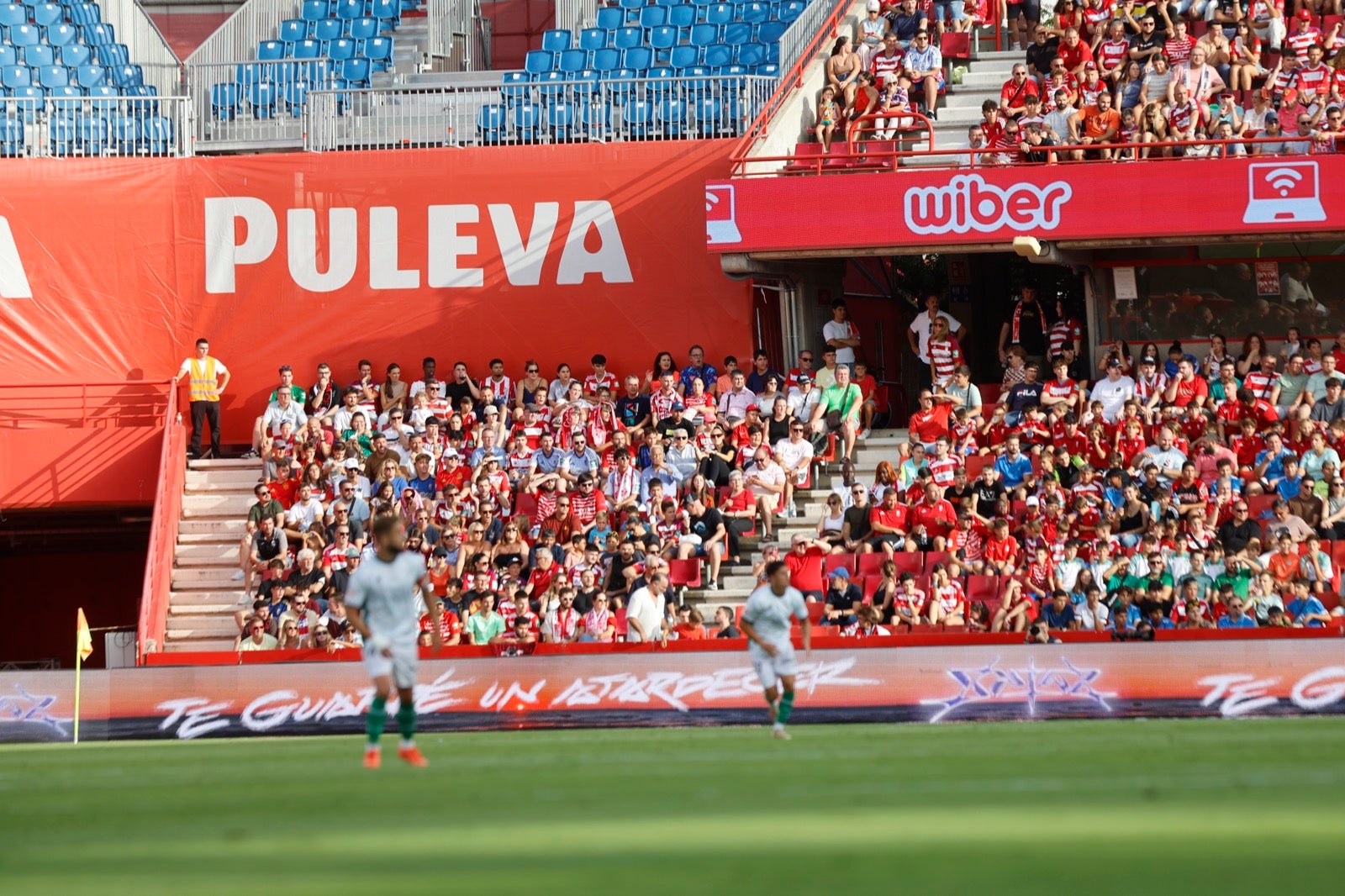 ¿Has ido a animar al Granada a Los Cármenes? Búscate en la grada