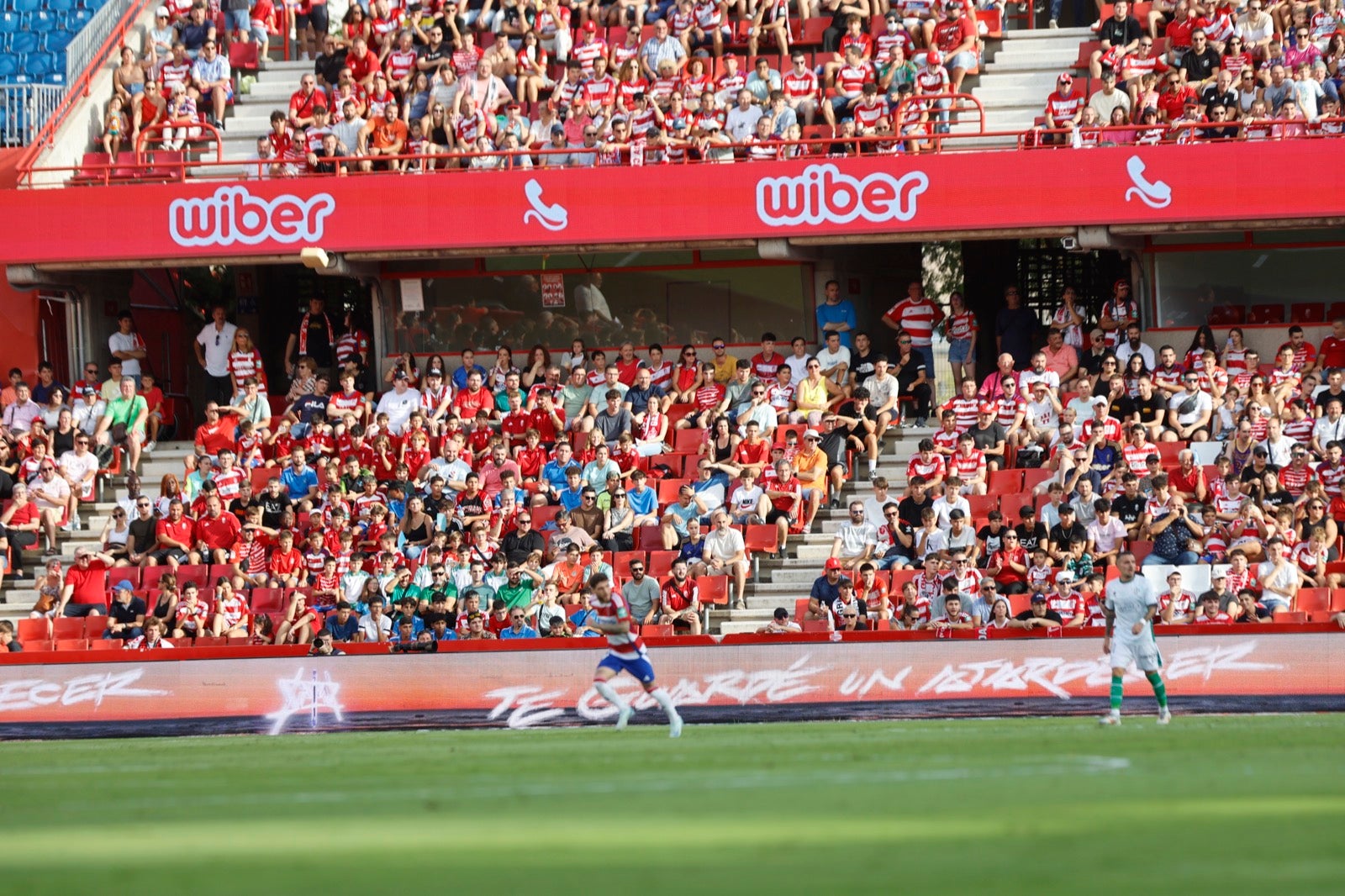 ¿Has ido a animar al Granada a Los Cármenes? Búscate en la grada