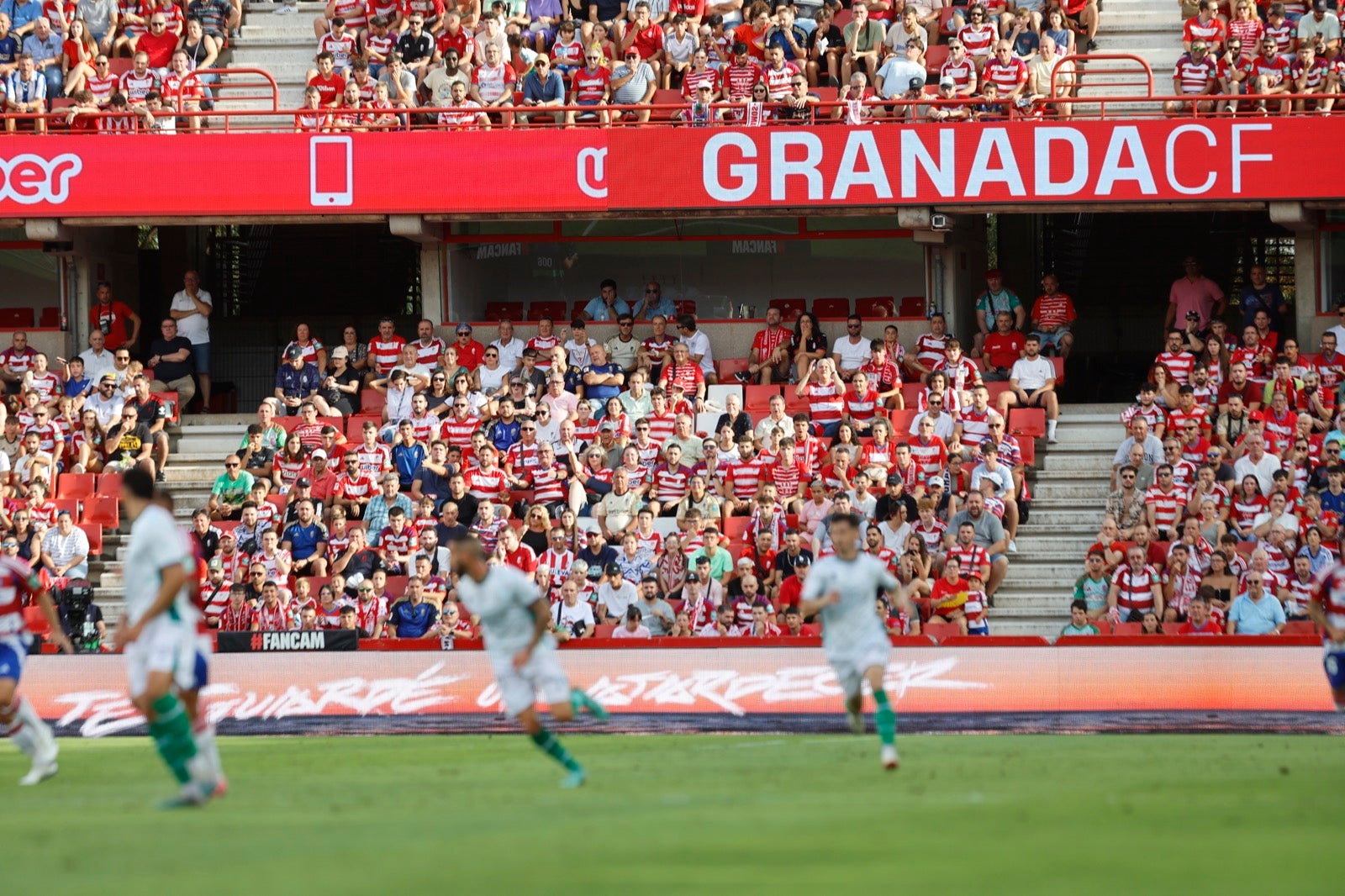 ¿Has ido a animar al Granada a Los Cármenes? Búscate en la grada
