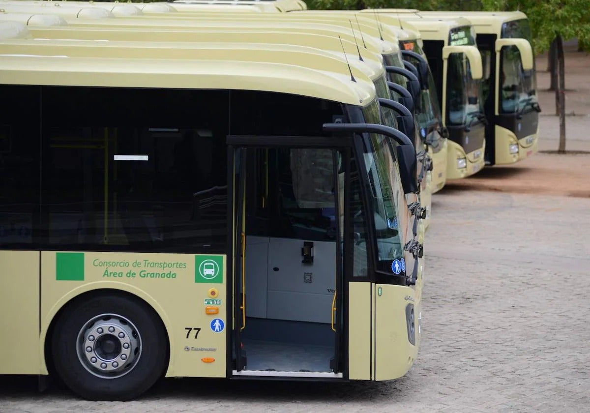 Líneas de autobús metropolitanas.