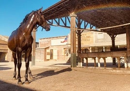 Uno de los caballos del poblado del Oeste de Oasys Minihollywood, en Tabernas, recibe una refrescante ducha durante el verano.