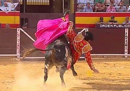 Cogida del novillero Iván Rejas