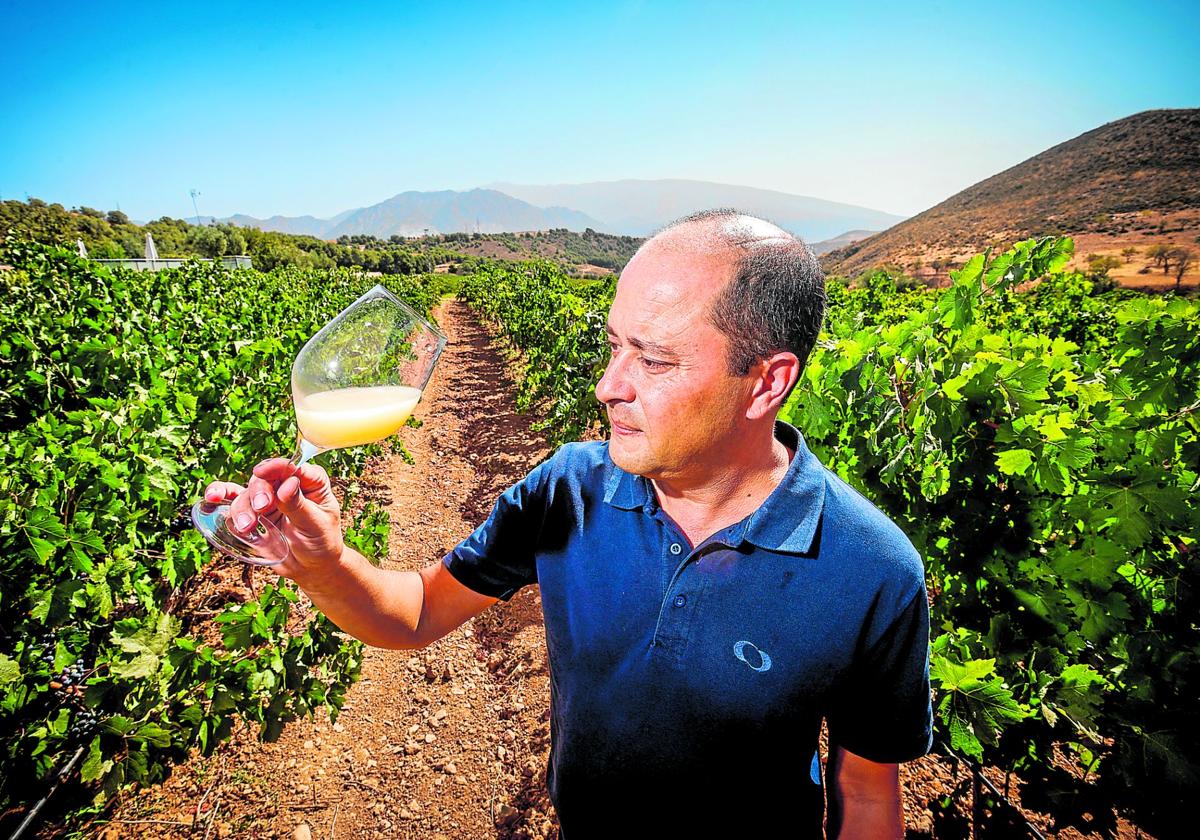 El enólogo de Señorío de Nevada, Chema Concustell, posa con una copa del nuevo vino que están haciendo entre las vides de la bodega