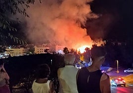 Fuego en el entorno de La Zubia.