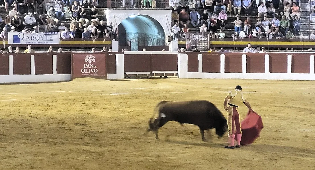 Pablo Aguado, durante una faena.